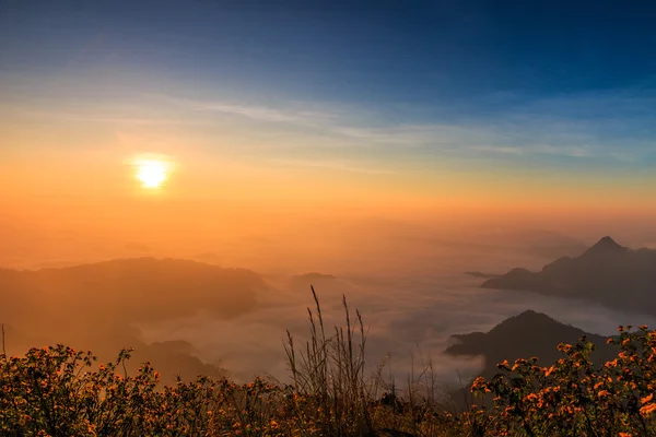 Sunrise landschap in de natuur — Stockfoto