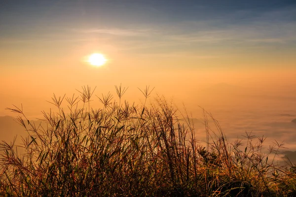 Sunrise landschap in de natuur — Stockfoto