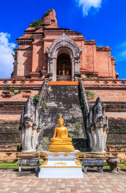 WAT chedi luang Tayland tapınak