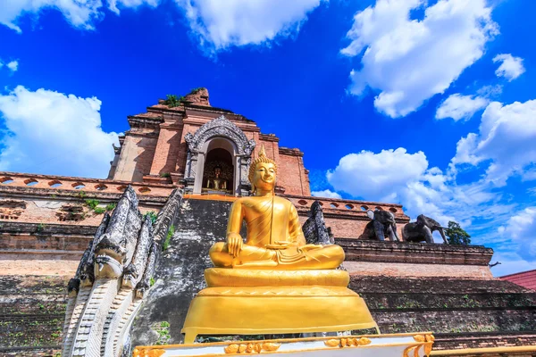 Wat Chedi Luang temple in Thailand — Stock Photo, Image