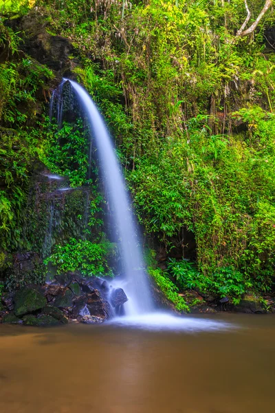 Şelale, Chiang Mai, Tayland — Stok fotoğraf