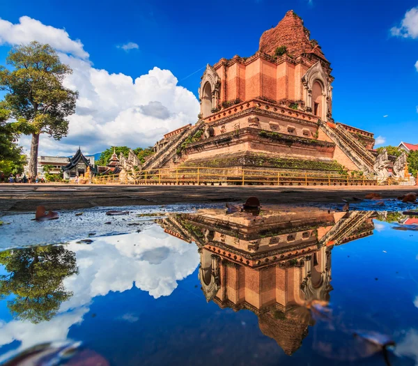 Wat chedi luang tempel in thailand — Stockfoto