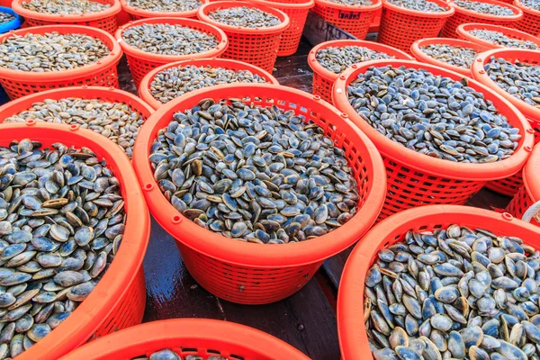 Shellfish on fishing vessels — Stock Photo, Image