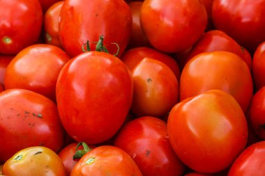 taze domates arka plan
