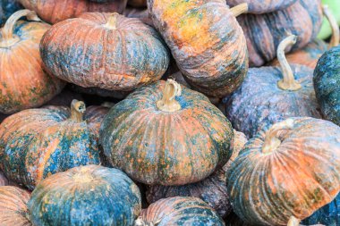 Arka plan üzerinde taze kabak