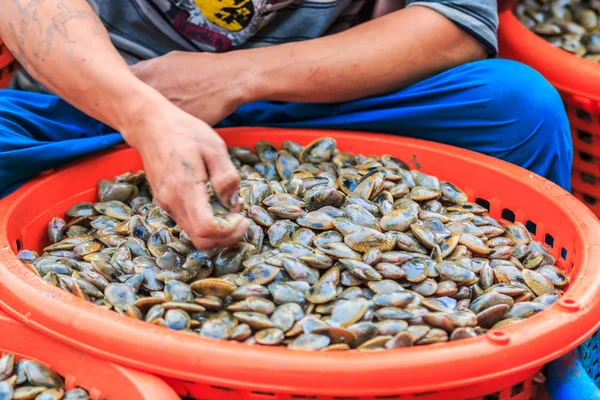 Schaal-en schelpdieren op vissersvaartuigen — Stockfoto