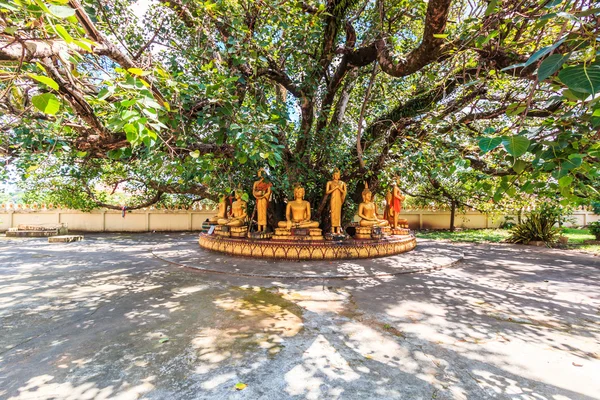 Budda pod drzewem Bodhi w Vientiane — Zdjęcie stockowe