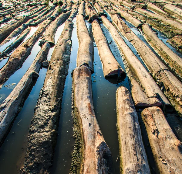 Montón de madera sumergido en agua — Foto de Stock