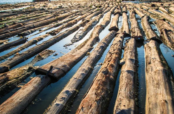 Pile of wood  immersed in water — Stock Photo, Image