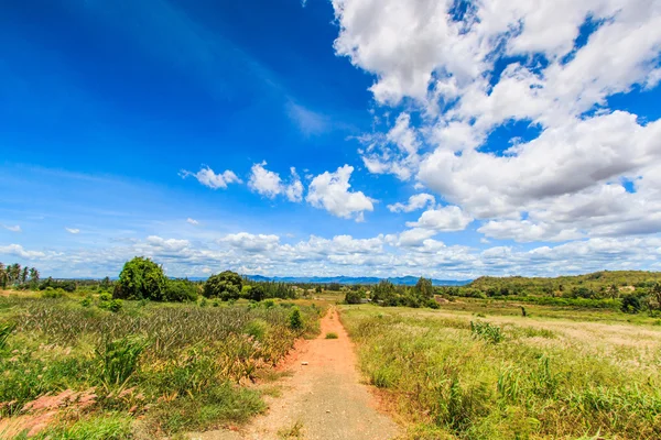 Landscape  road in rural areas — Stock Photo, Image