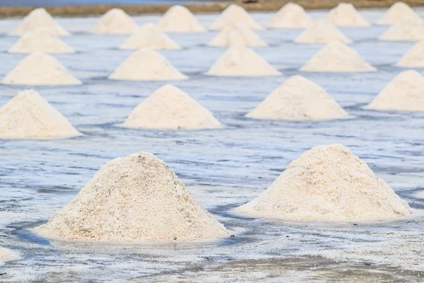 Salt fields  in Thailand — Stock Photo, Image