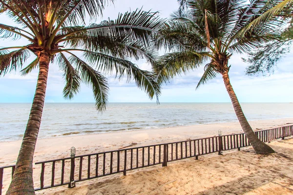 Palme da mare e da cocco — Foto Stock