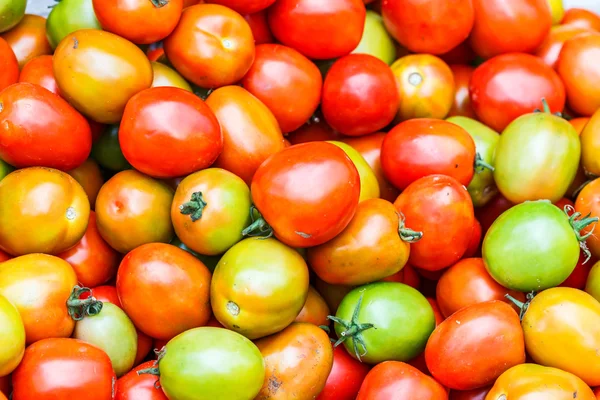 Fresh tasty Tomatoes — Stock Photo, Image