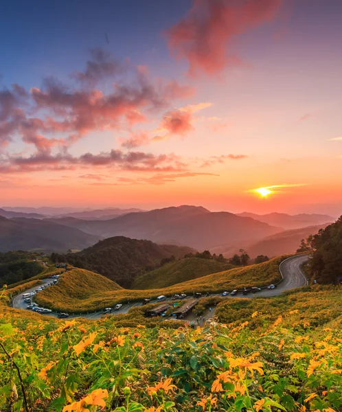 Landscape sunset nature — Stock Photo, Image