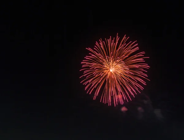 Colorful fireworks in  sky — Stock Photo, Image