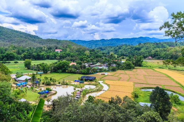 Vista sulle risaie a Chiang Mai — Foto Stock
