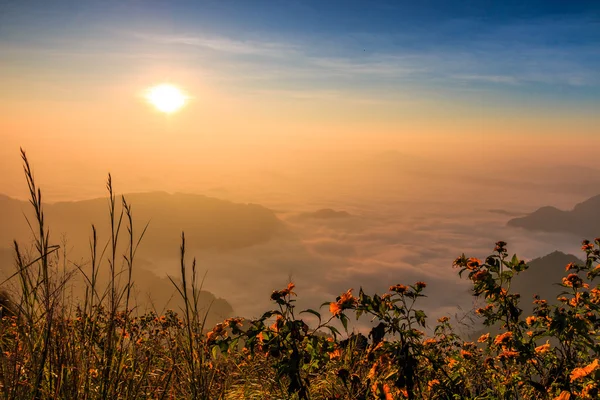 Sunrise landschap in de natuur — Stockfoto