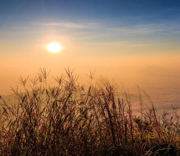 Ландшафт восхода солнца в природе — стоковое фото