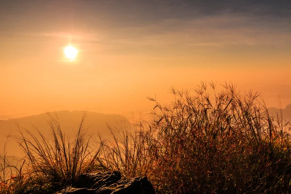 Sunrise landschap in de natuur — Stockfoto