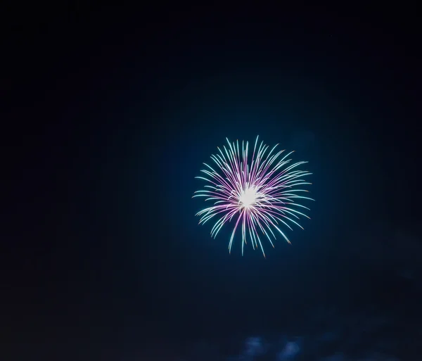 Kleurrijke vuurwerk in de lucht — Stockfoto