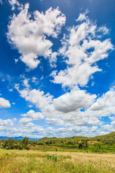 Landschaft mit schönen Wolken — Stockfoto