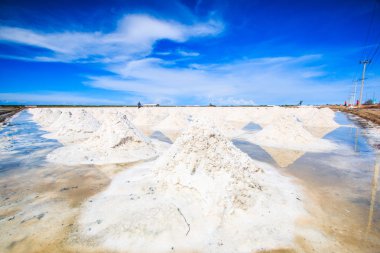 Tayland tuzlu alanları