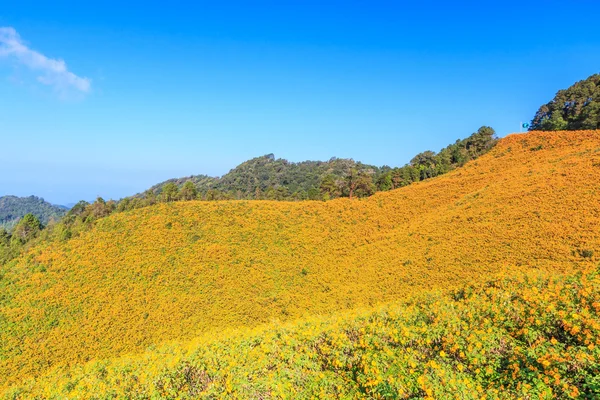 Paysage dans la province de Maehongson — Photo