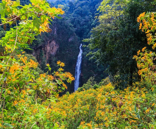 Girasoles y cascada de Mae Surin — Foto de Stock