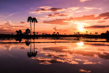 gün batımında güzel manzara