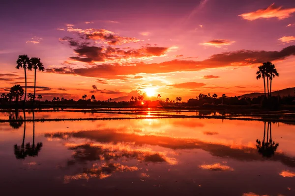 Beautiful Landscape at sunset — Stock Photo, Image