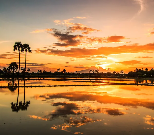 Schöne Landschaft bei Sonnenuntergang — Stockfoto