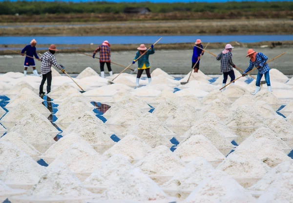 Salt fields in Thailand
