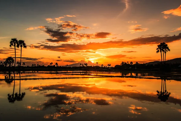 Bellissimo paesaggio al tramonto — Foto Stock