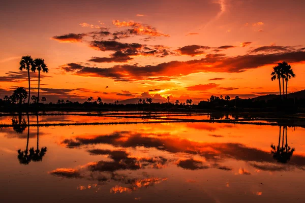 Manzara ve doğa günbatımı — Stok fotoğraf