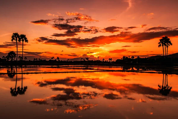 風景と自然の中の夕焼け — ストック写真