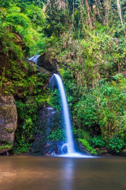 Orman şelale, Chiang Mai