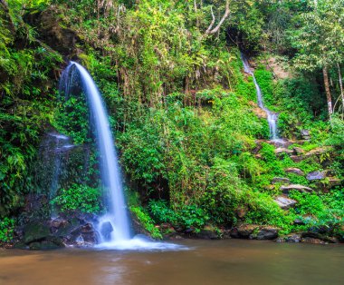 Orman şelale, Chiang Mai