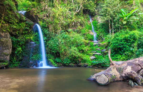 Forest waterfall at Chiang Mai — Stock Photo, Image