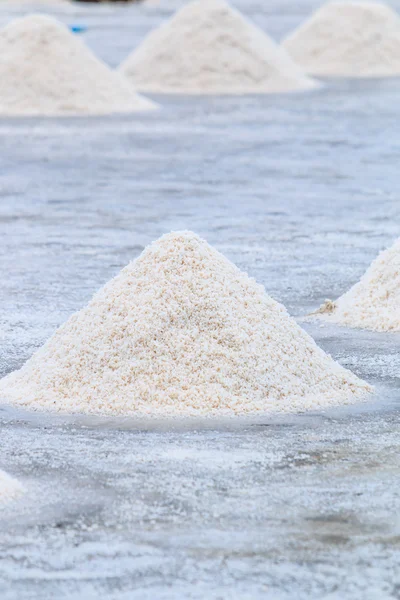 Sůl v slané pobřežní farma — Stock fotografie