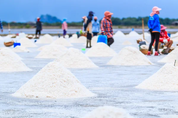 盐在盐海边农场 — 图库照片