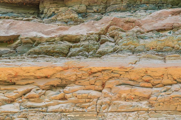 Rock in Pha Taem National Park — Stock Photo, Image