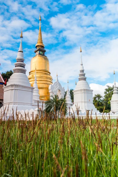 Wat Suan Dok Pagoda d'oro — Foto Stock