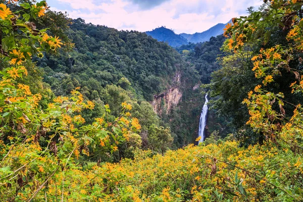 Girasol mexicano y cascada de Mae Surin — Foto de Stock