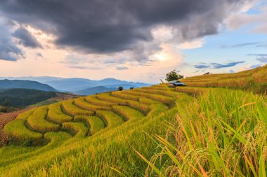 Paddy alan Mae reçel Köyü
