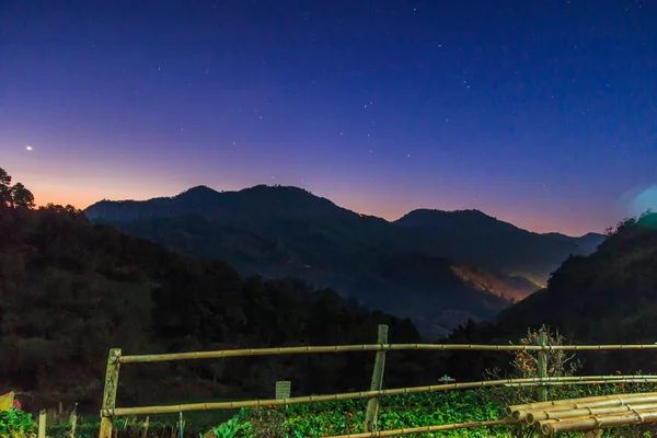 Doi Ang Khang, çilek Bahçe — Stok fotoğraf