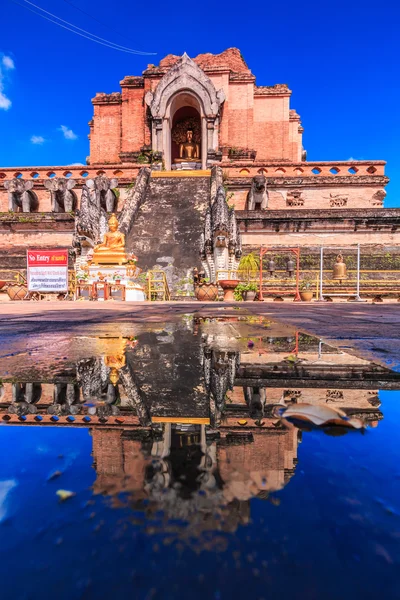 Wat chedi luang-templet — Stockfoto