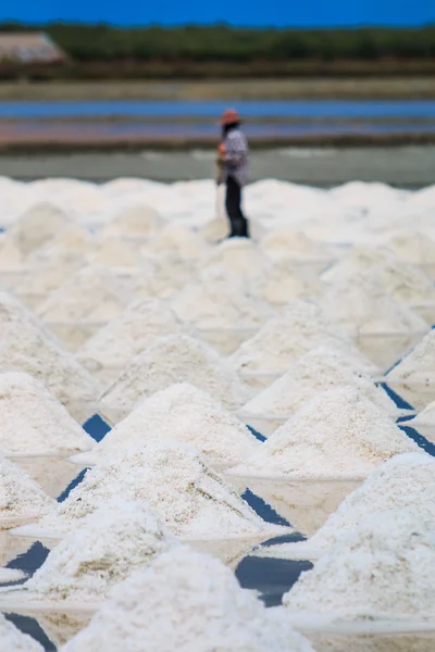 Trabajador en Salt fields —  Fotos de Stock