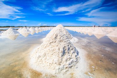 Tuzlu deniz grupta tuz