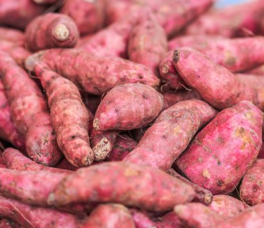 Olgun tatlı patates