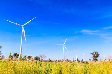 Rüzgar türbin jeneratör